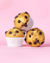 Choc Chip Muffins