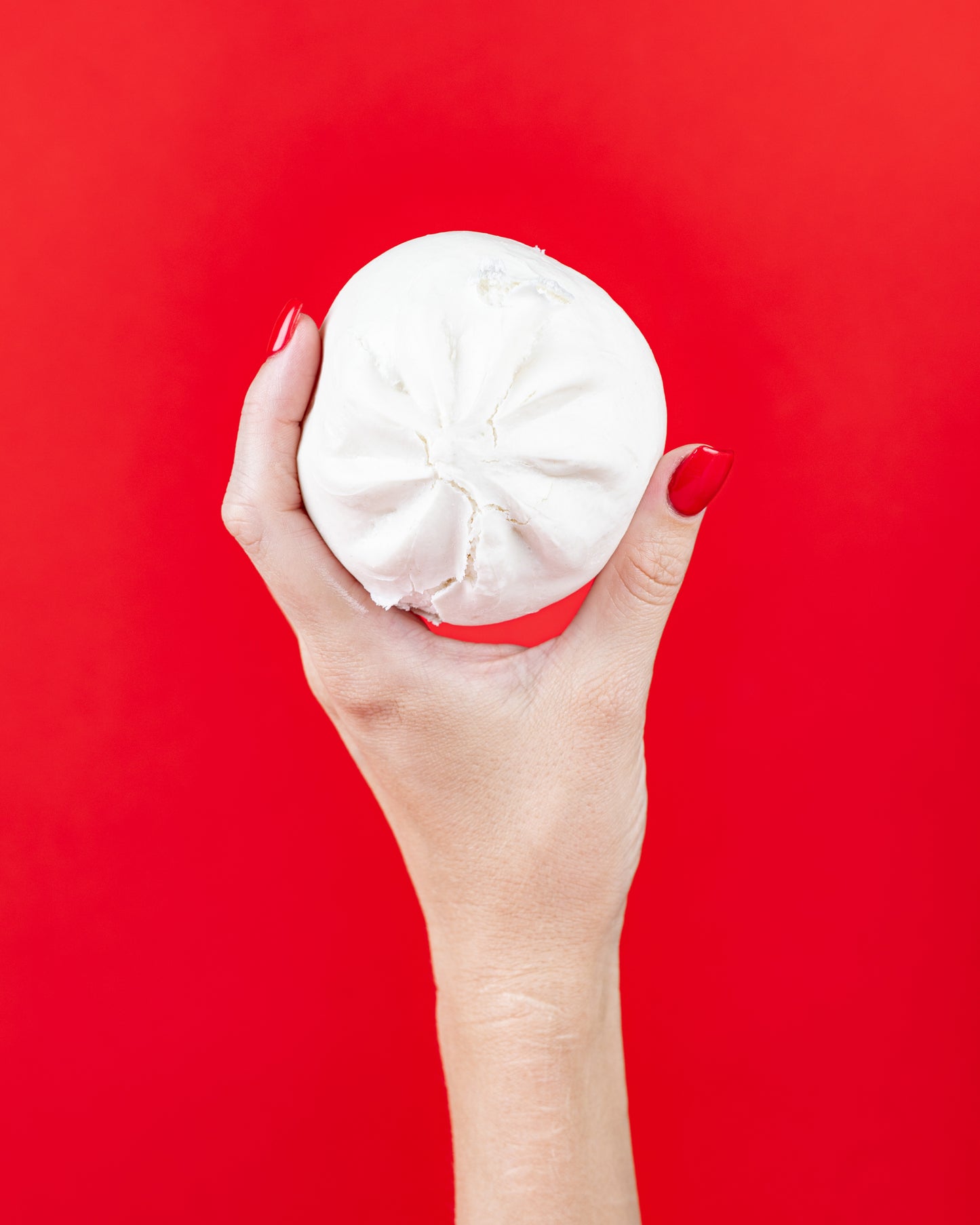 BBQ Steamed Buns
