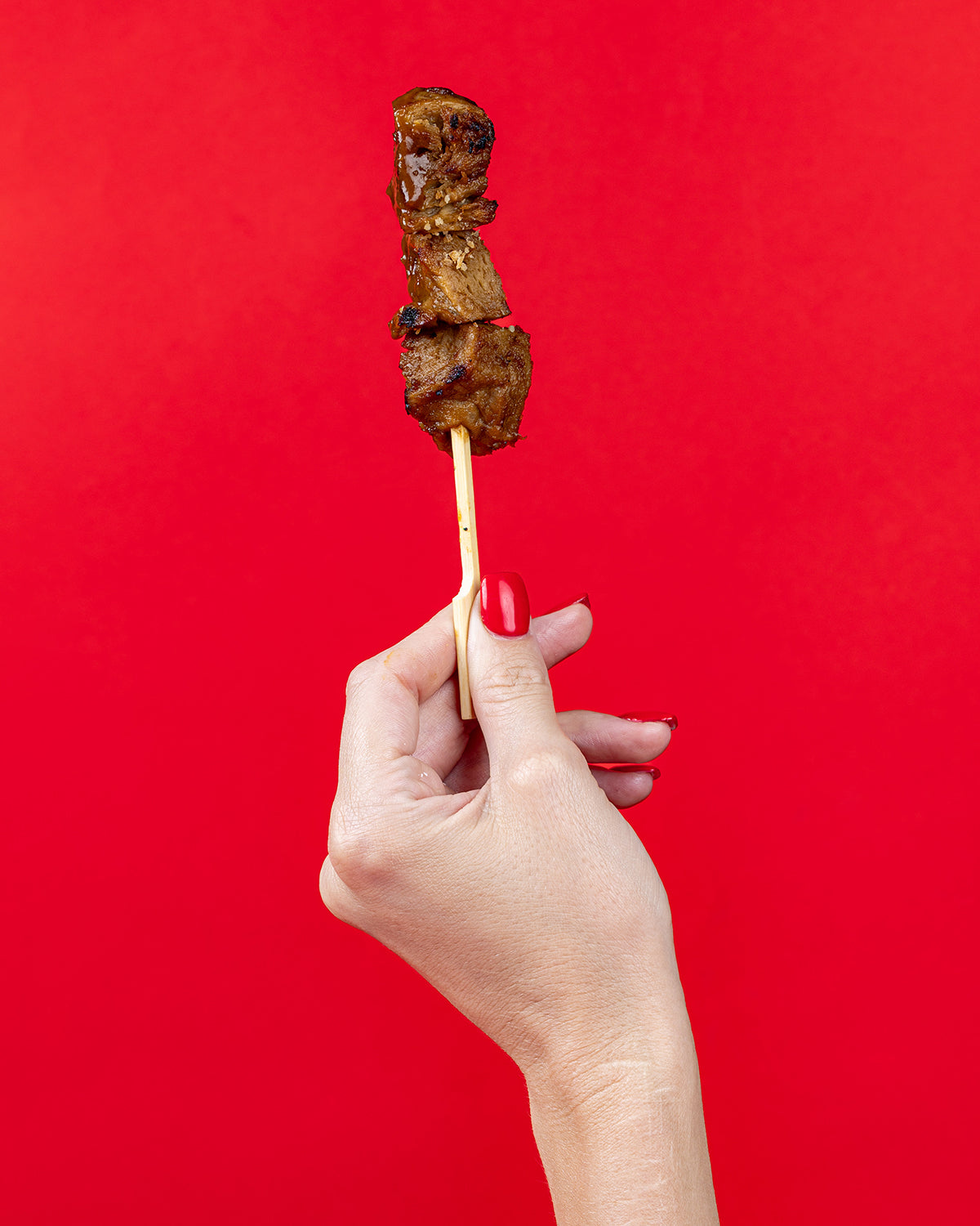 Chicken Satay Skewers