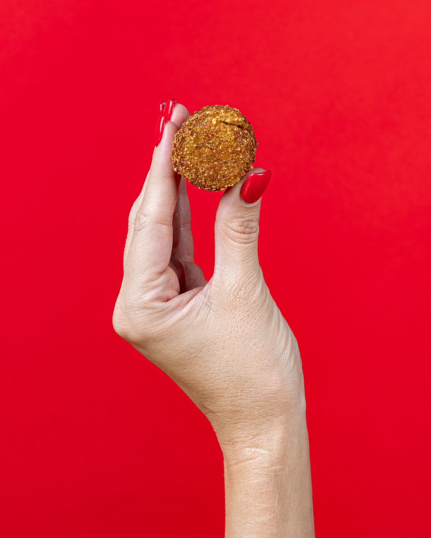 Gluten-Free Falafels & Hommus Platter