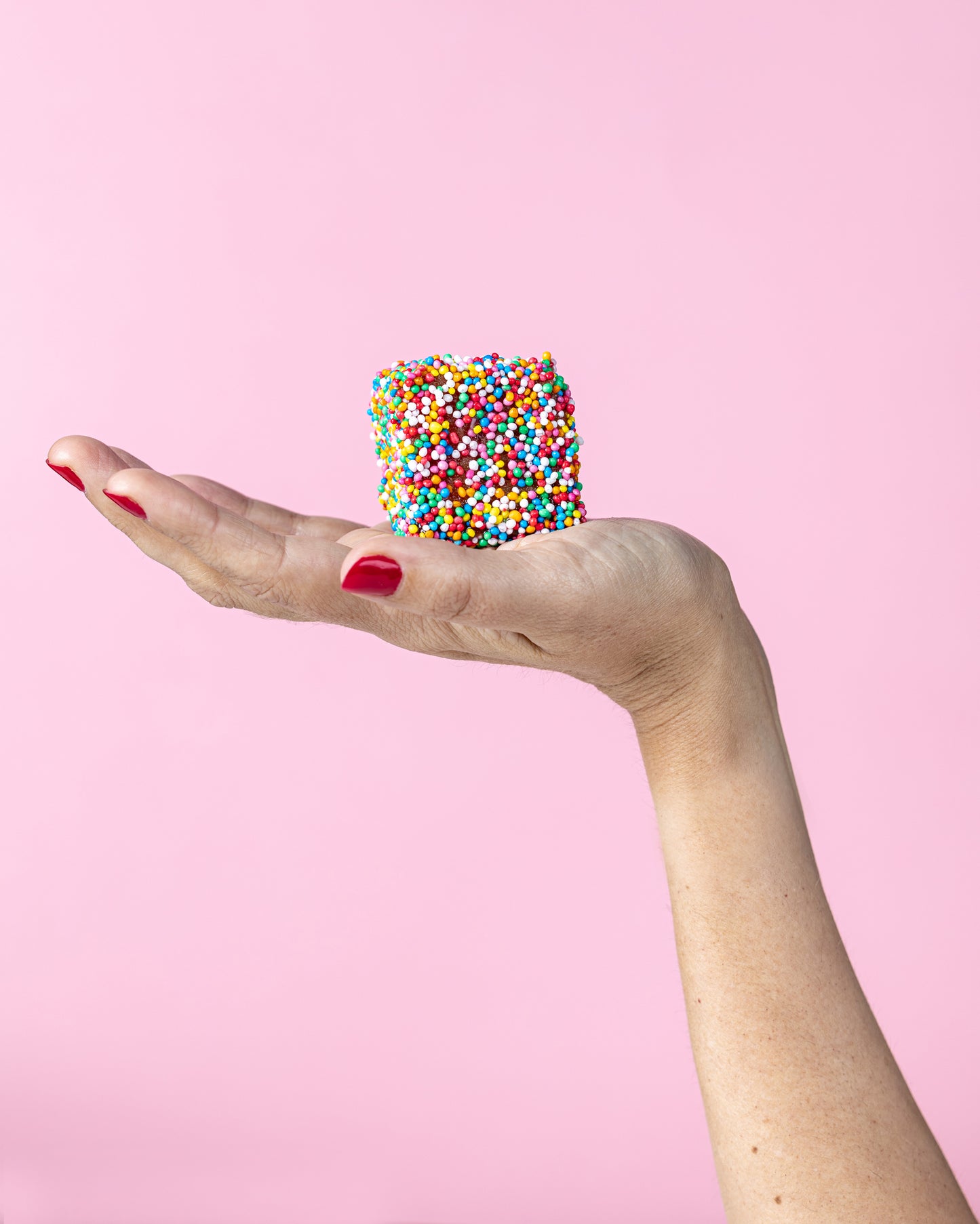 Fairy Bread Lamington
